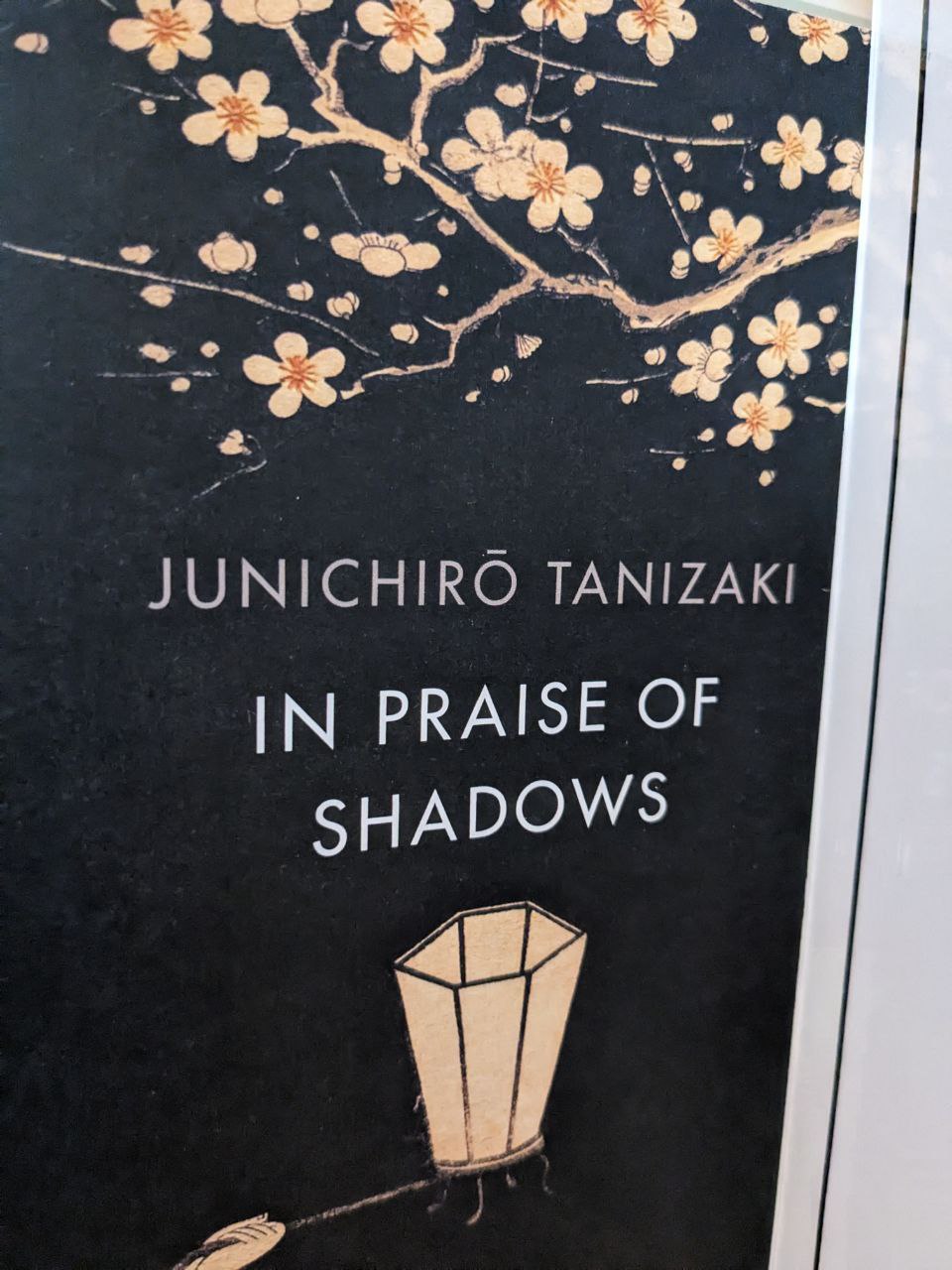 In Praise of Shadows