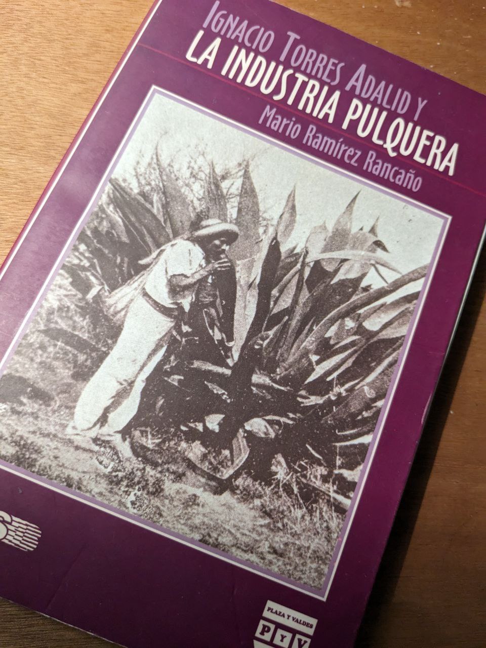 Ignacio Torres Adalid y la Industria del Pulque