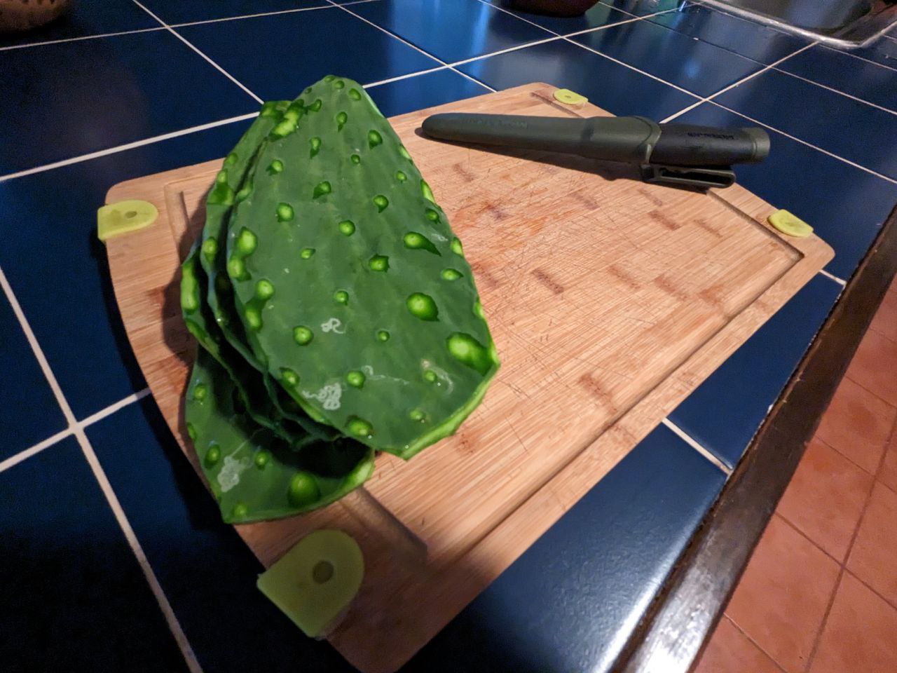 Enough clean nopales for two, ready to cook!